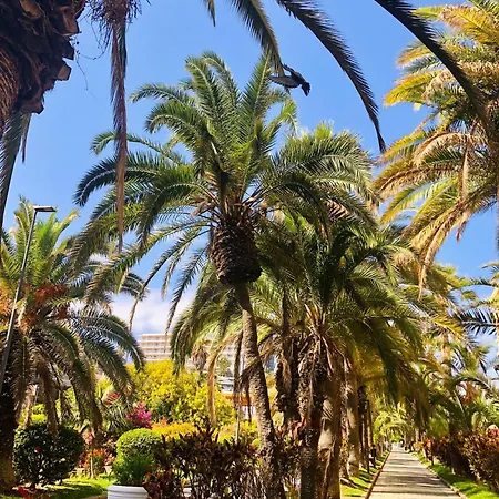 Palm Avenue - Adults Only - Apartman *