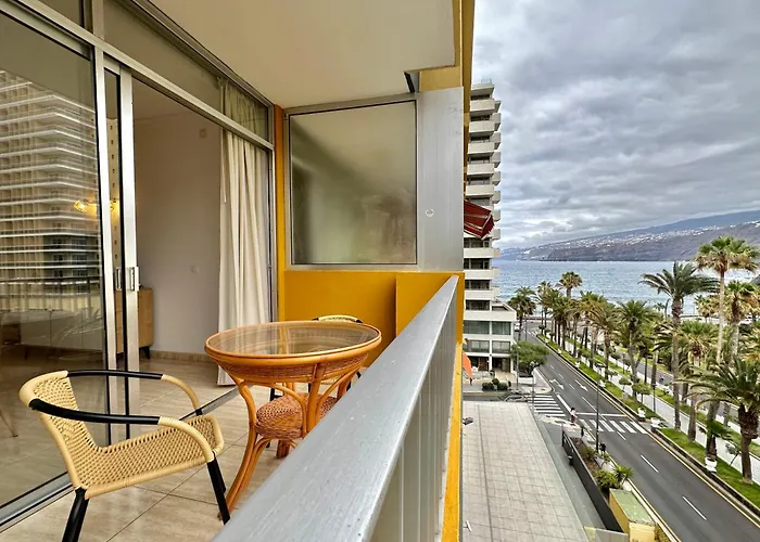 Palm Avenue - Adults Only -