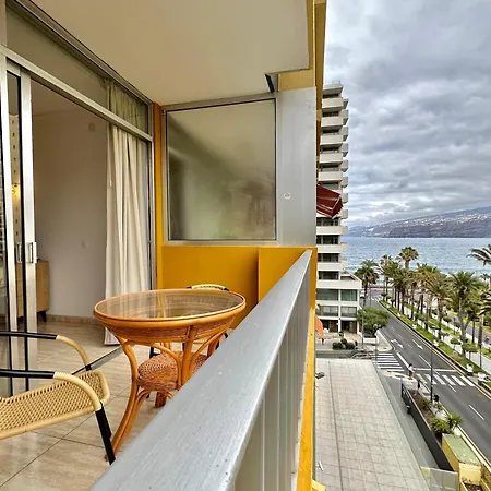Palm Avenue - Adults Only -