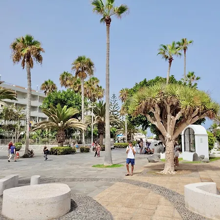 Palm Avenue - Adults Only - * Puerto de la Cruz (Tenerife)