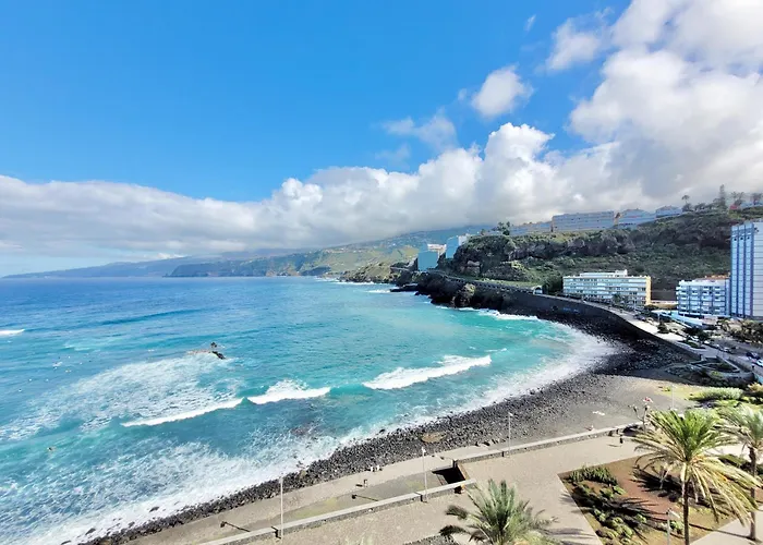 Palm Avenue - Adults Only - Appartement