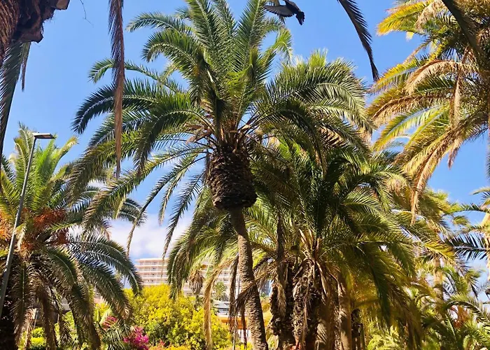 Palm Avenue - Adults Only - Appartement *